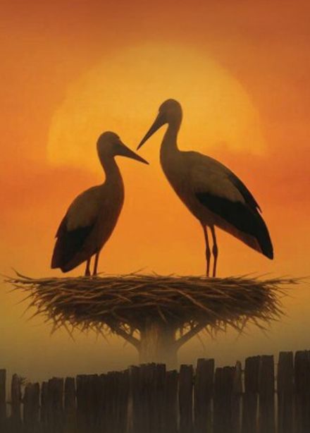 Рассказы о любви