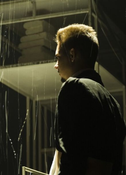 Пять жар-птиц инспектора Раффинга