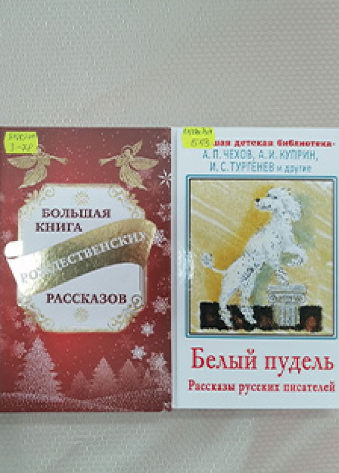 Книгаполия. Игра