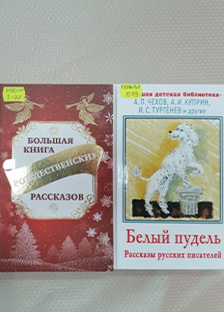 Книгаполия. Игра