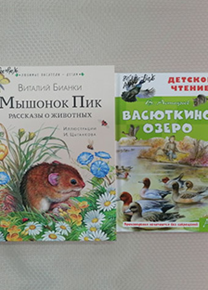 Литературное ассорти. Квизбук